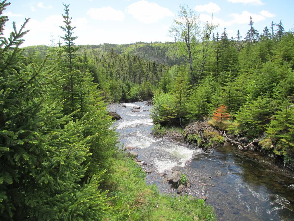 The Wilds At Salmonier River Holyrood Extérieur photo